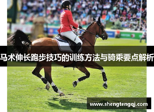 马术伸长跑步技巧的训练方法与骑乘要点解析