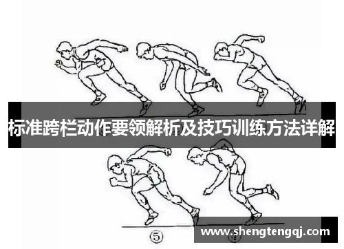 标准跨栏动作要领解析及技巧训练方法详解