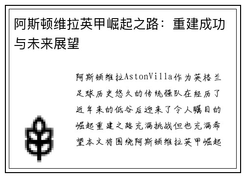 阿斯顿维拉英甲崛起之路：重建成功与未来展望